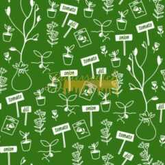 Garden Herbs