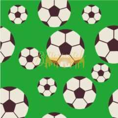 Scoccer Balls